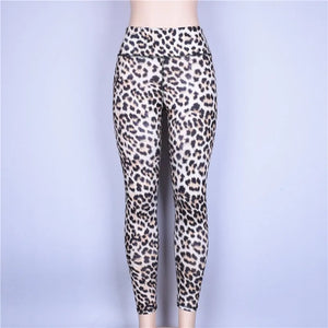 Cheetah Leggings