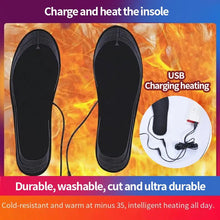 Load image into Gallery viewer, ThermaSole™ Insoles Washable, Rechargeable, and Heated
