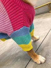 Load image into Gallery viewer, Knitted Dog Sweater
