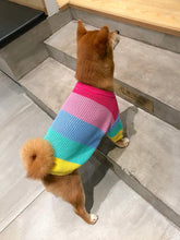 Load image into Gallery viewer, Knitted Dog Sweater
