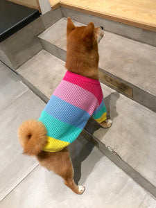 Knitted Dog Sweater