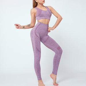 2 Piece Yoga Suit set