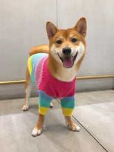 Load image into Gallery viewer, Knitted Dog Sweater
