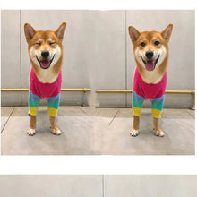Load image into Gallery viewer, Knitted Dog Sweater
